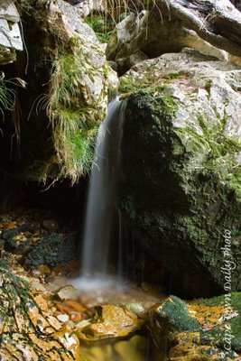 Jonkershoek Nature Reserve