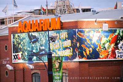 Cape Town's aquarium