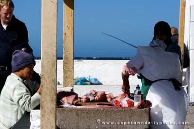 Gutting the fish