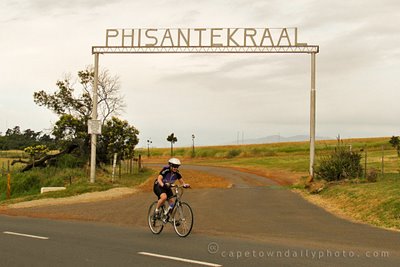 Phisantekraal farm