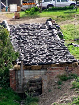 Bales of hay covered by tyres