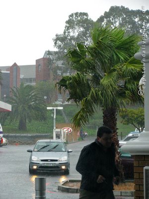 Rain