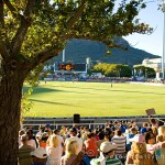 Pro20 cricket at Newlands