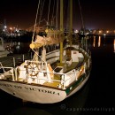 Boat trips from the V&A Waterfront