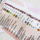 South African Elections: the ballot paper