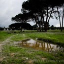 Stormwater drains