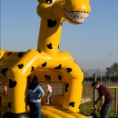 The Giraffe House – a real giraffe in Cape Town!