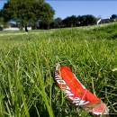 Careless litter