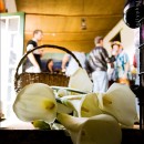 Altydgedacht on the Durbanville Wine Route