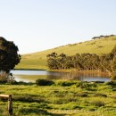 Lakes, trees and microlights