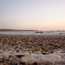 Seashells on the seashore