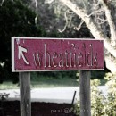 Wheatfields restaurant at Meerendal
