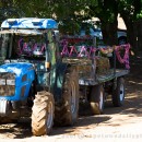 Tractor-rides through the farmlands