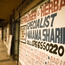 Astrologers and Herbalists