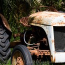Temporal tractor