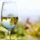 Streaming wine from Cape Town
