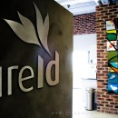 FireID, the first of two successful Internet startups