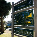 An easy hike in Cape Town