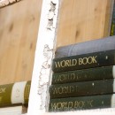 Books and encyclopaedias
