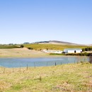 Wine farms and wine dams