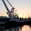 Morning harbour