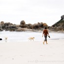Walking your dogs on Llandudno beach