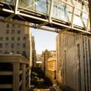 An uncommon perspective in the city