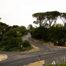 The way up Signal Hill