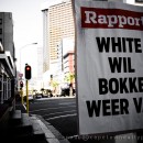 Springbok rugby