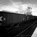 Cargo coaches