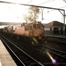 How loud is a diesel goods train?