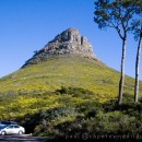 Lion’s Head