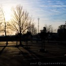The naked trees