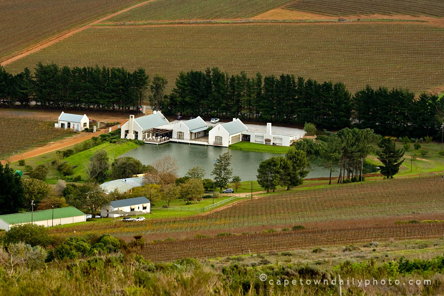 Durbanville wine valley