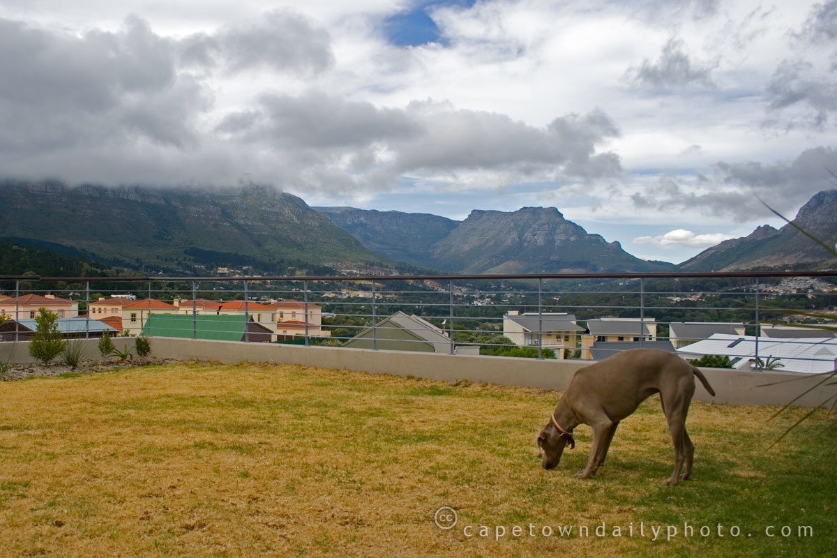 Saturday afternoon in Hout Bay