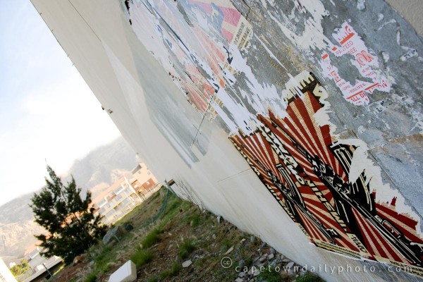 Umshini wakho campaign posters