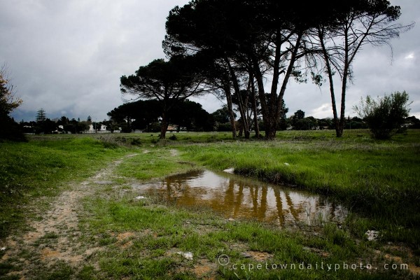 Mud pools after rain