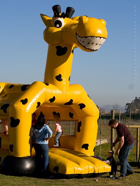 The Giraffe House