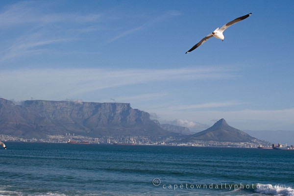 Summer is approaching