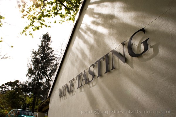 Wine tasting in Durbanville