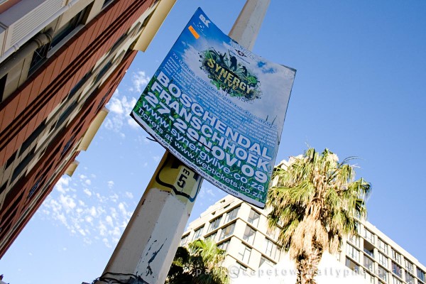 Synergy Music Concert at Boschendal