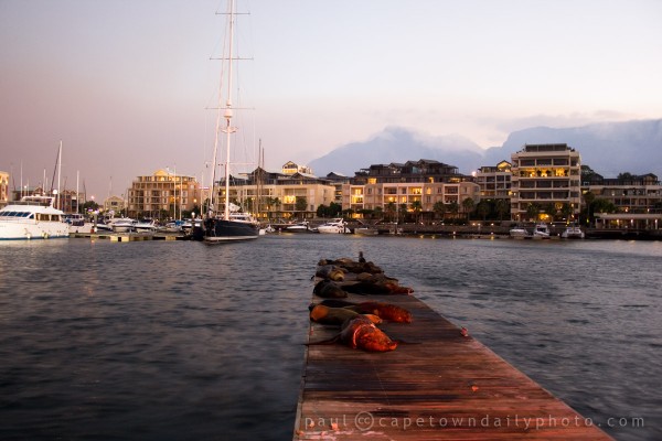 Yacht basin an the V&A Waterfront
