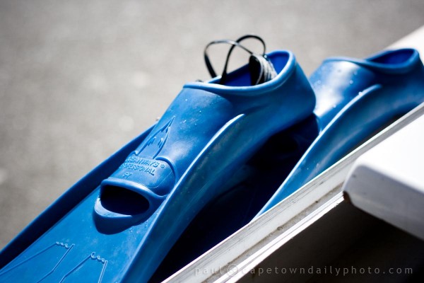 Diving Fins