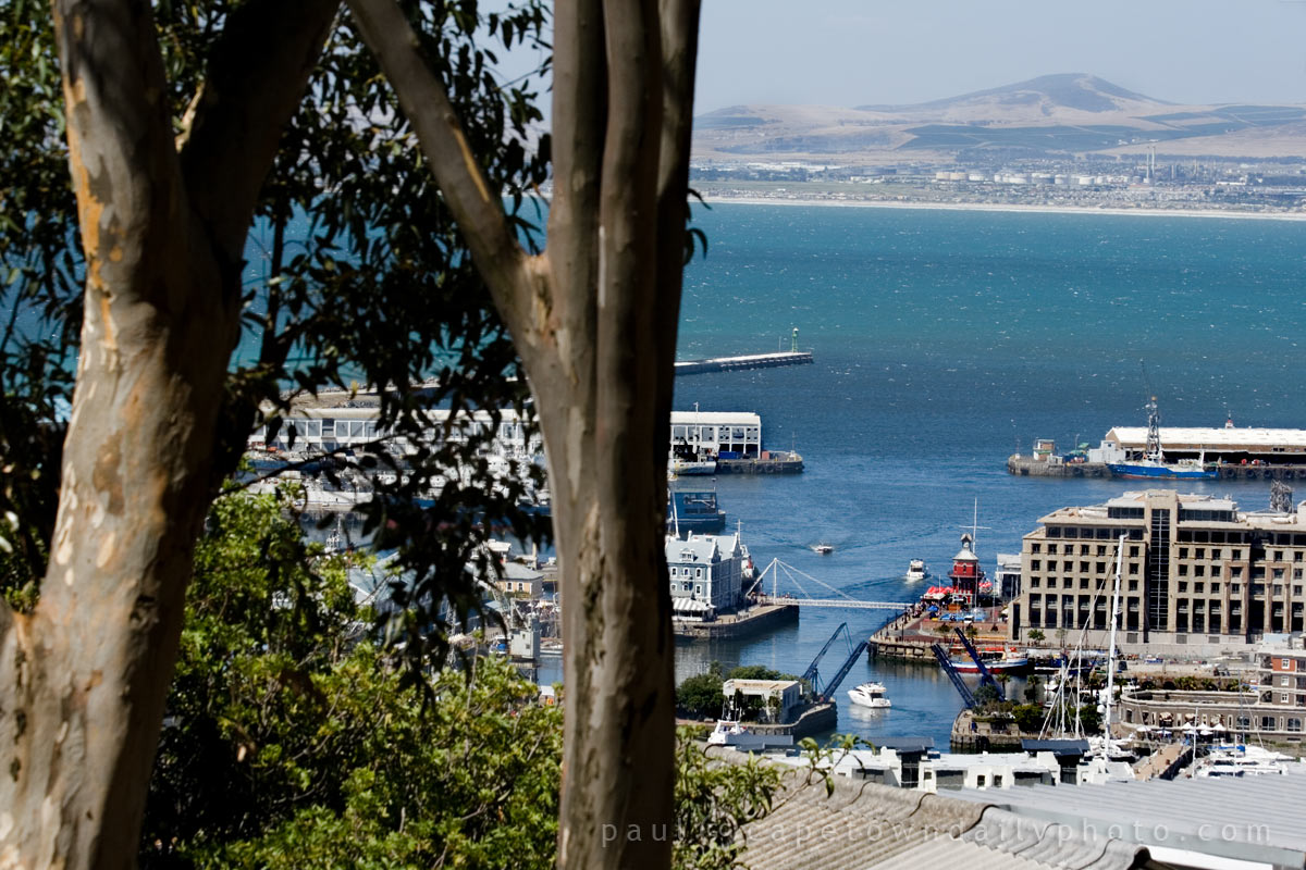 The V&A Waterfront from Signal Hill