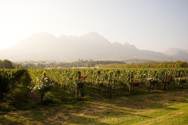 Lourensford Wine Estate