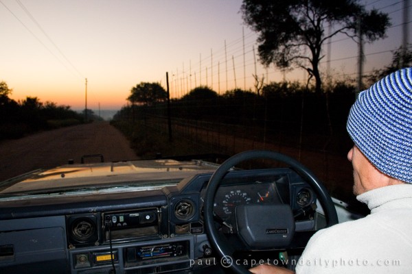 Early morning game drive