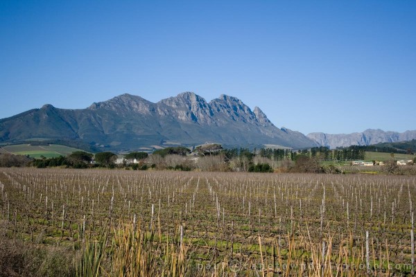 Fields and Mountains