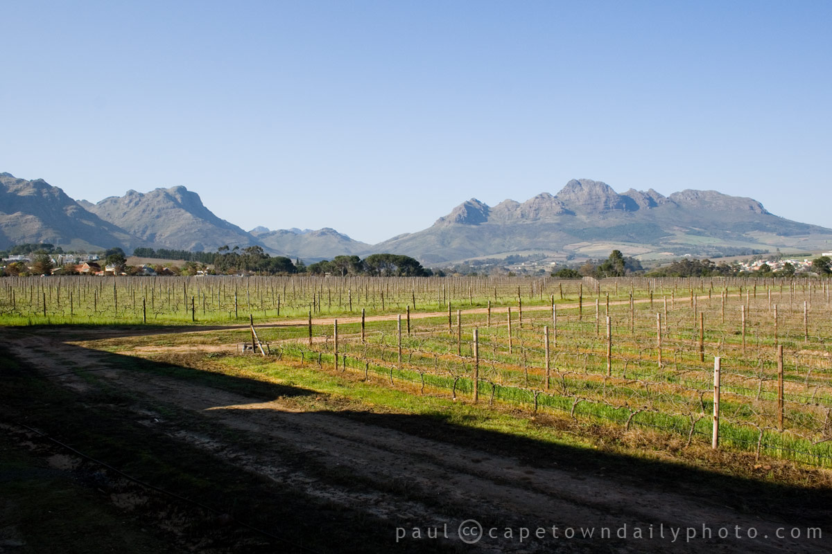 The mountains of Stellenbosch