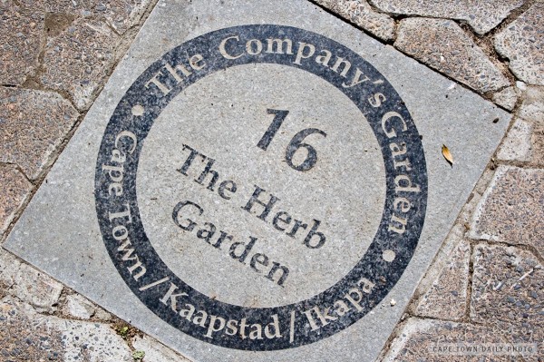 The herb garden