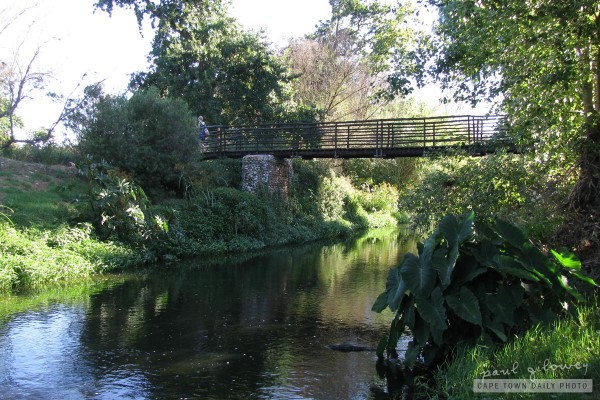 Poohsticks Bridge at Spier
